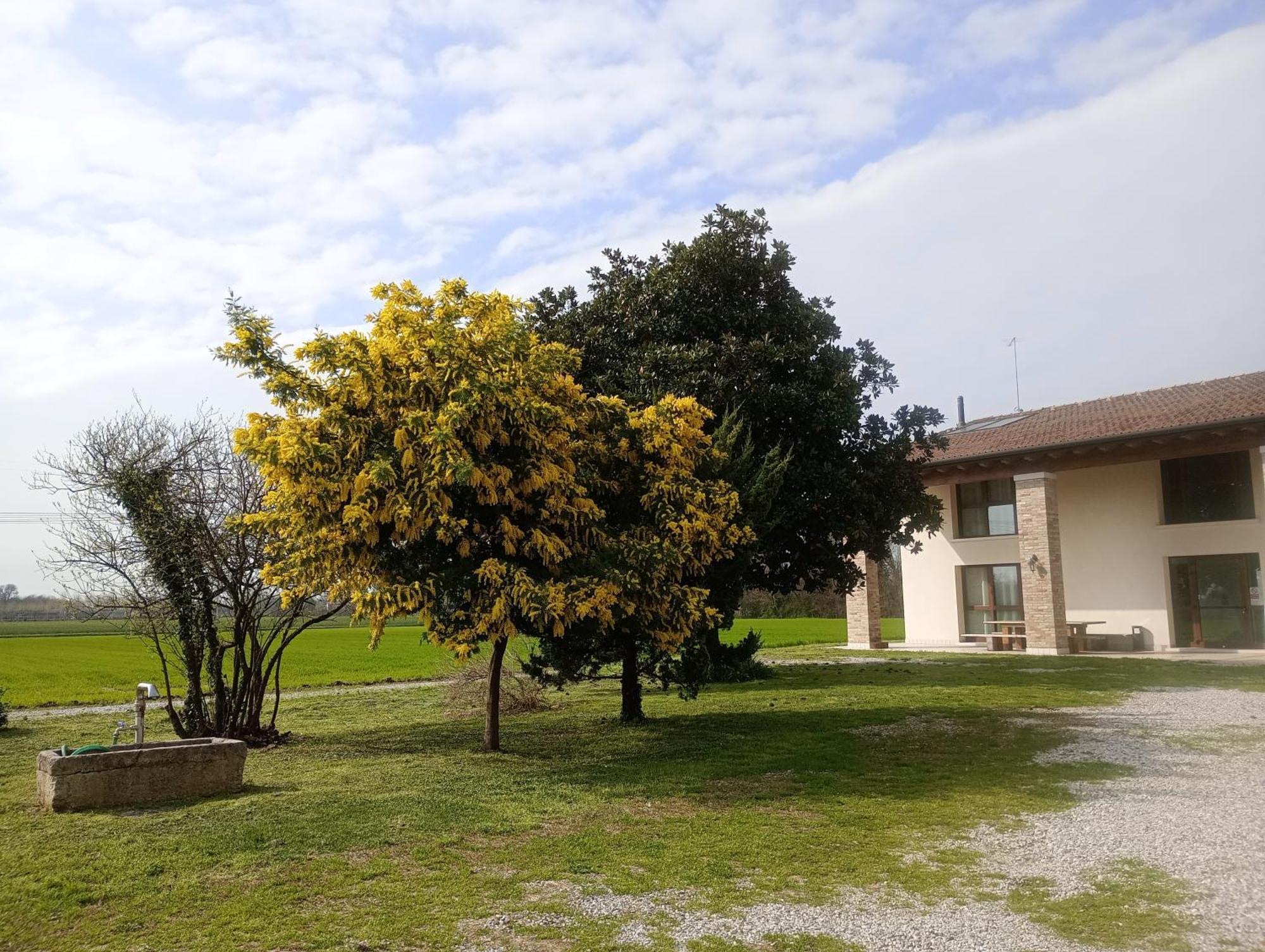 Agriturismo Trabucco Казале-суль-Силе Экстерьер фото